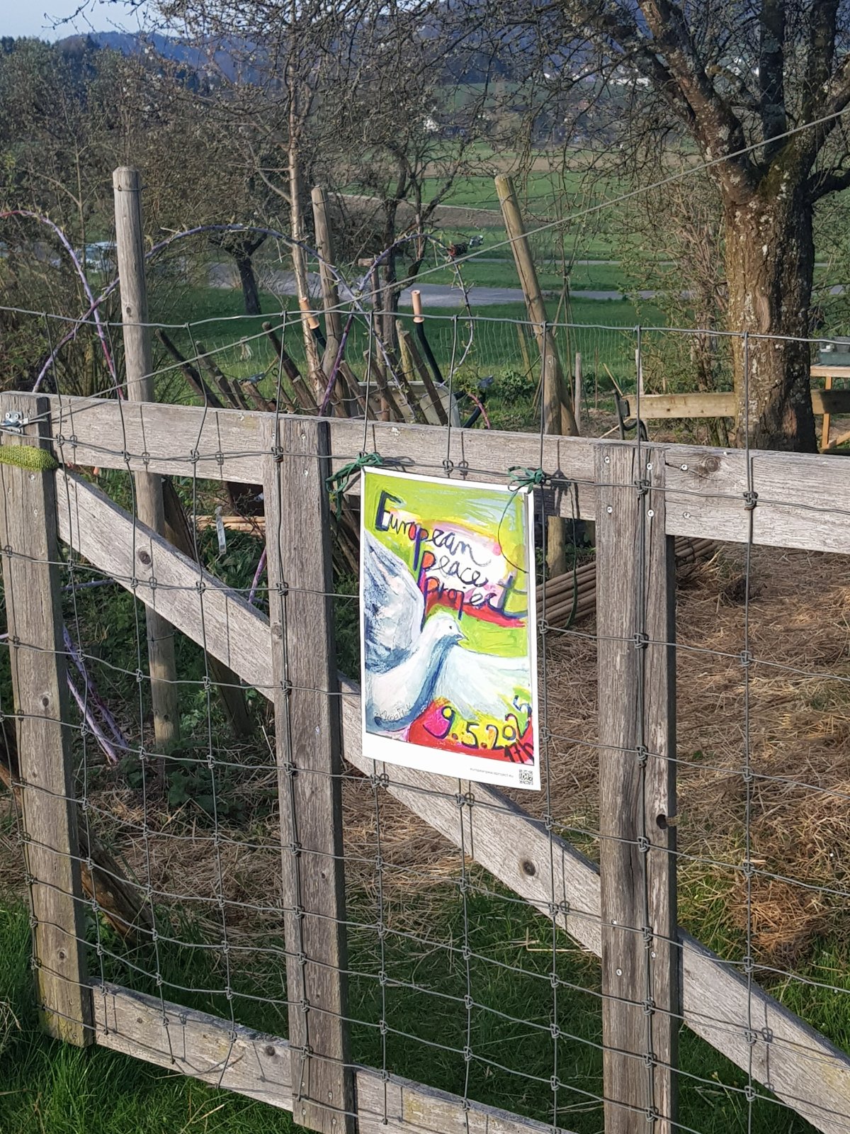 Mach mit beim European Peace Project, initiiert von Ulrike Guérot, Isabelle Casel und Peter Van Stigt!