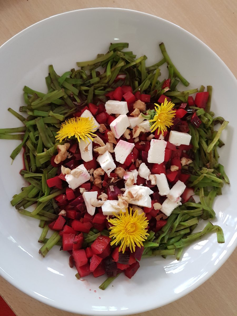 Löwenzahn-„Pasta“: ein kulinarisches Experiment