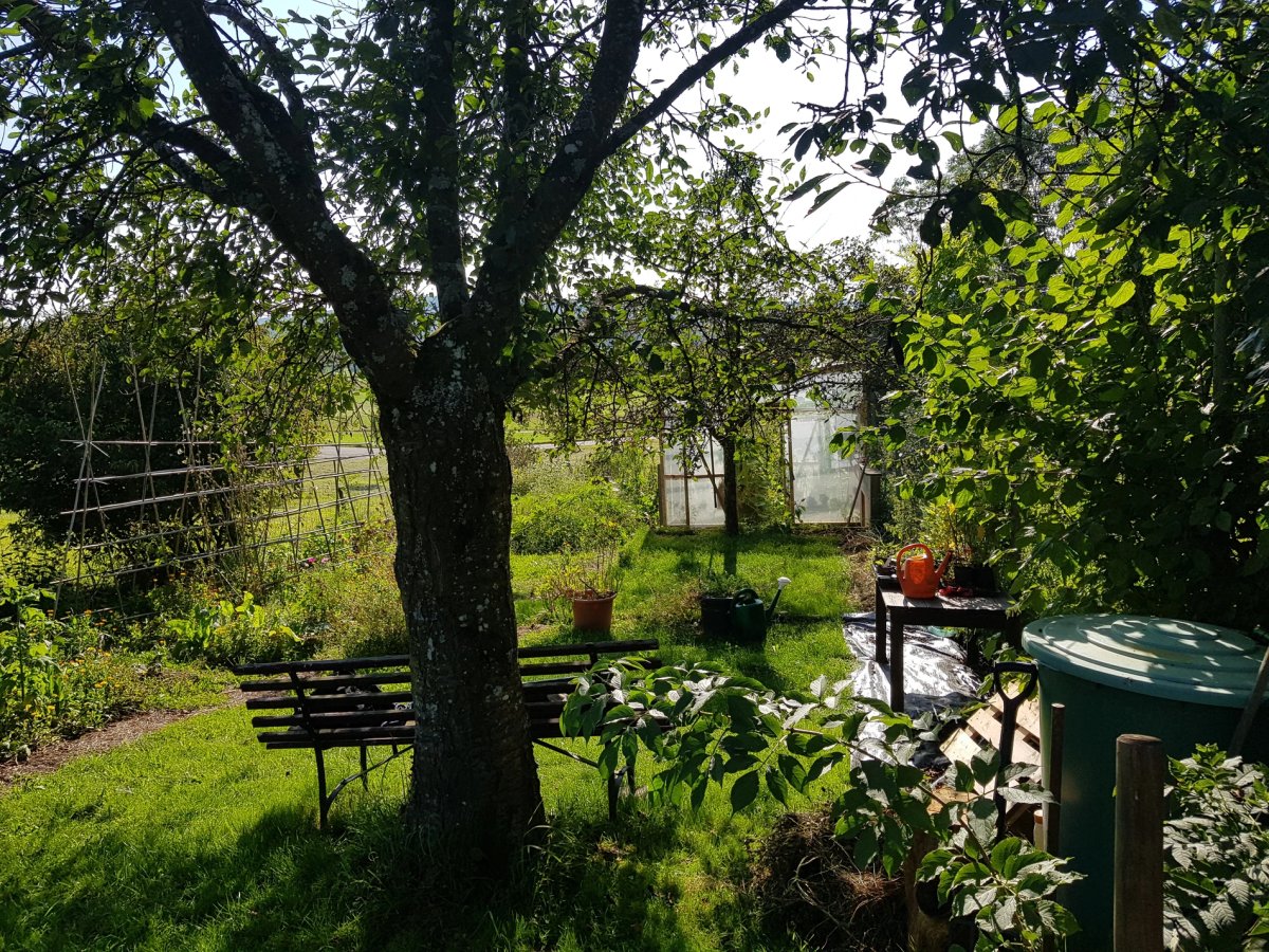 Wir gründen eine Solawi in Eidberg