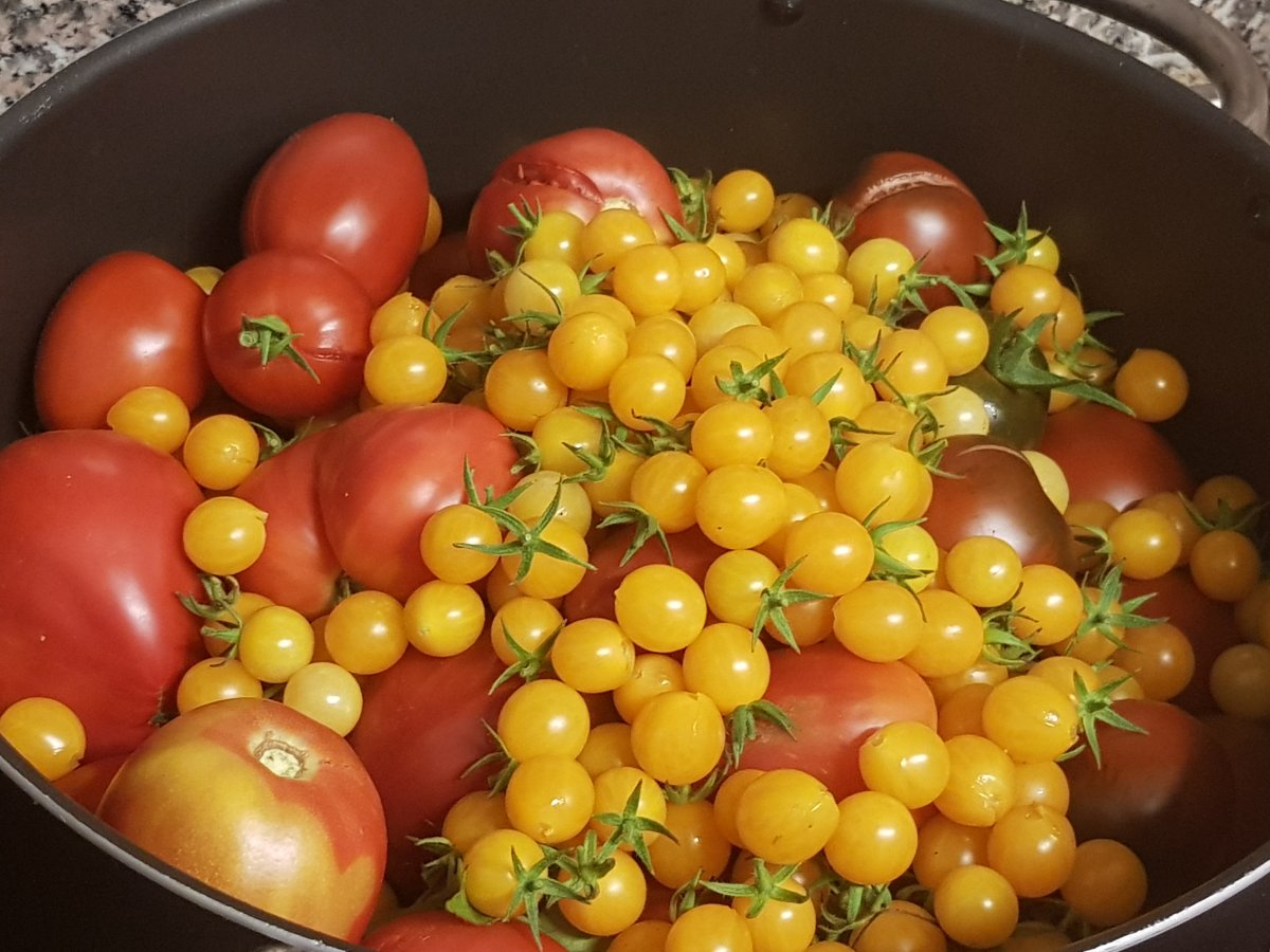 Hast du auch Tomaten im Überfluss?